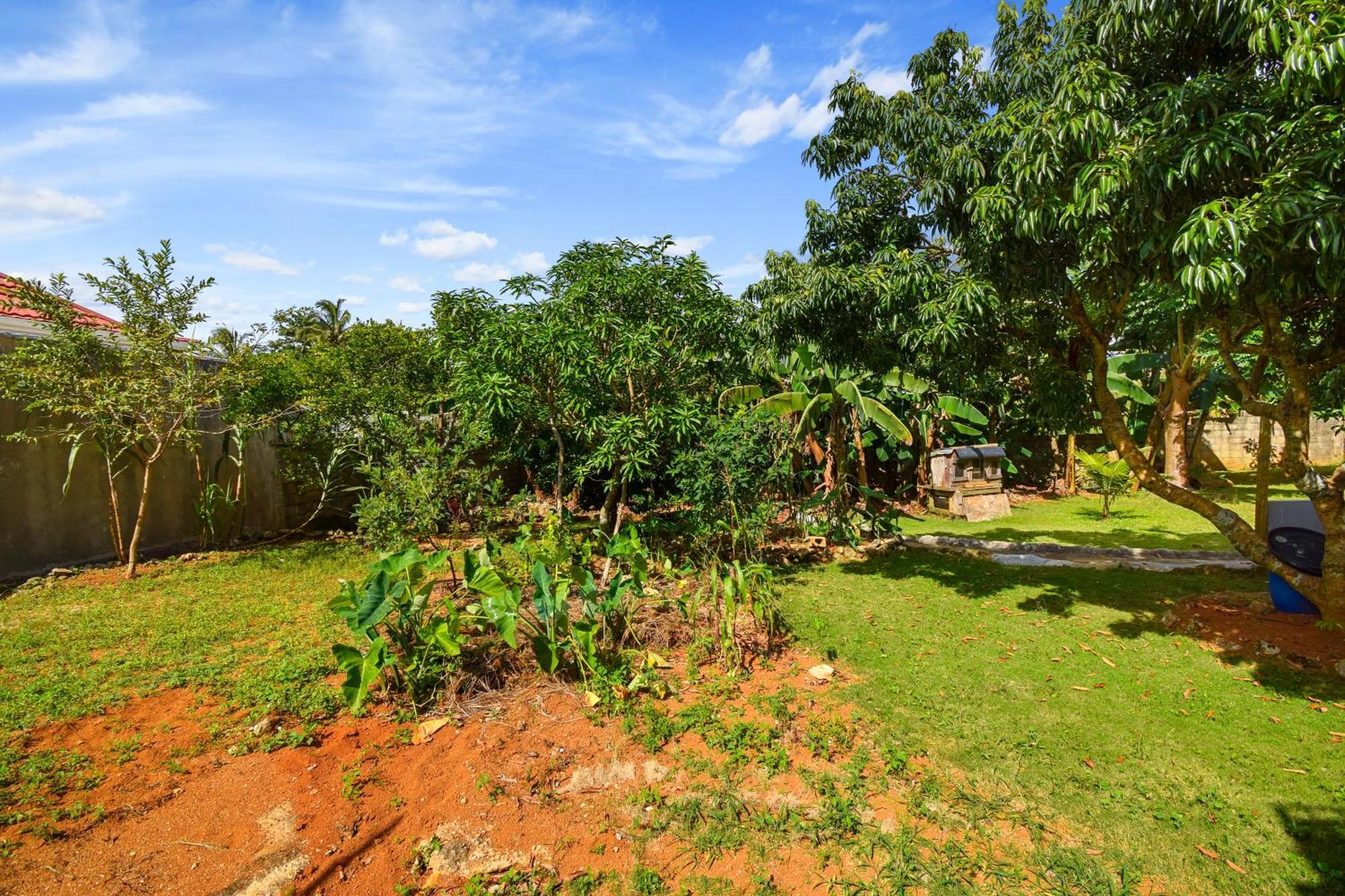 Harriott Heights Apartment Mandeville Luaran gambar
