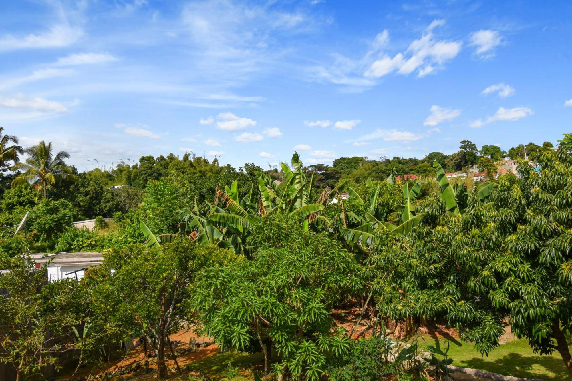 Harriott Heights Apartment Mandeville Luaran gambar