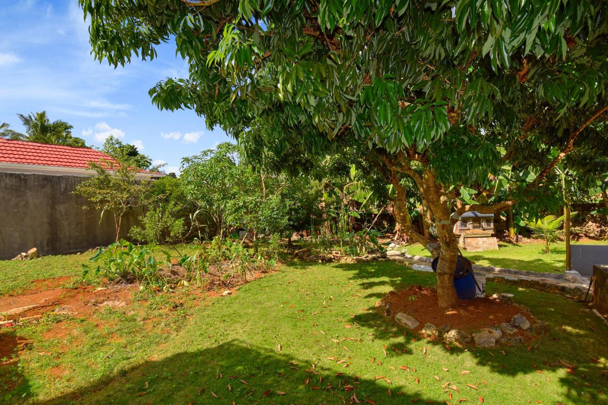 Harriott Heights Apartment Mandeville Luaran gambar